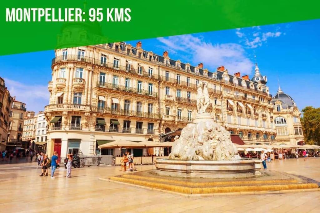 Aux Marches Du Palais - Ac Clim - Spacieux - Terrasse - Wifi Avignon Exterior photo
